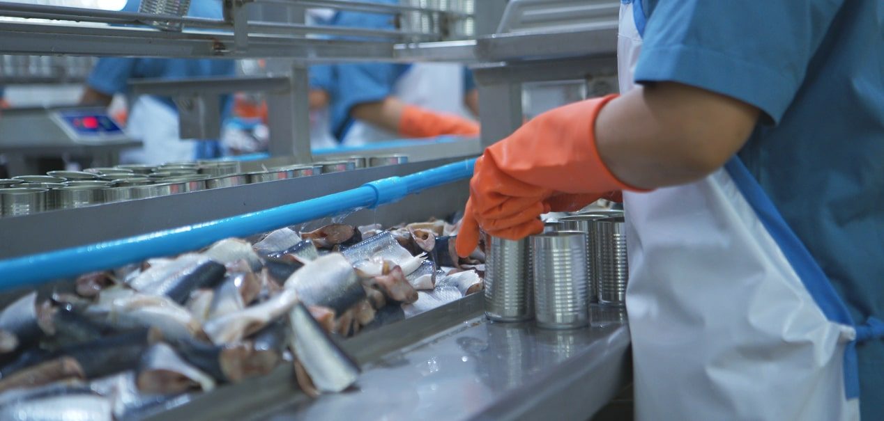 Linea automatizzata di inscatolamento e confezionamento del pesce in un impianto industriale moderno per il settore ittico.