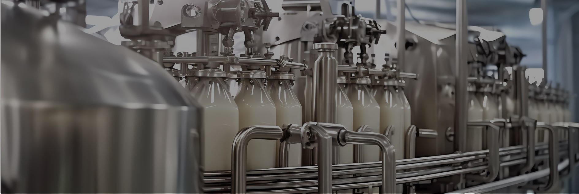Linea automatizzata di imbottigliamento in un impianto industriale moderno per il settore caseario.